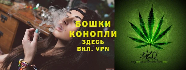 эйфоретик Богородск