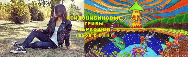 эйфоретик Богородск