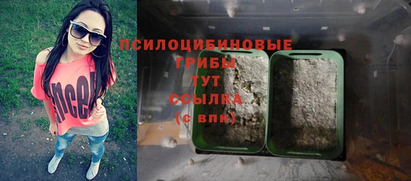 эйфоретик Богородск
